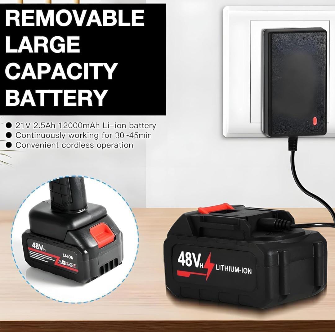 double Battery 48V Rechargeable Electric, Car WaDsher Gun (1 Set)